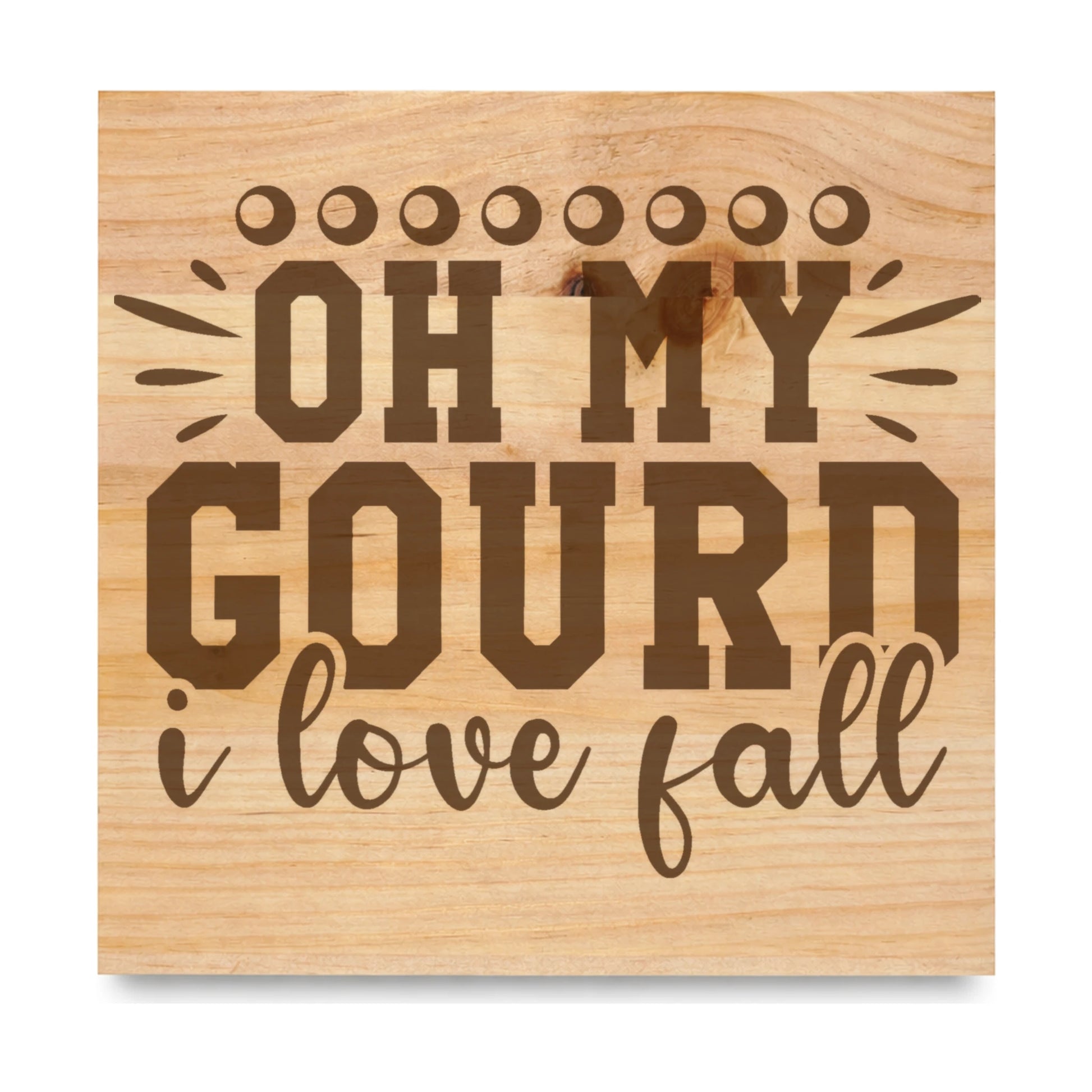 Oh My Gourd I Love Fall 3 laser engraved pine sign