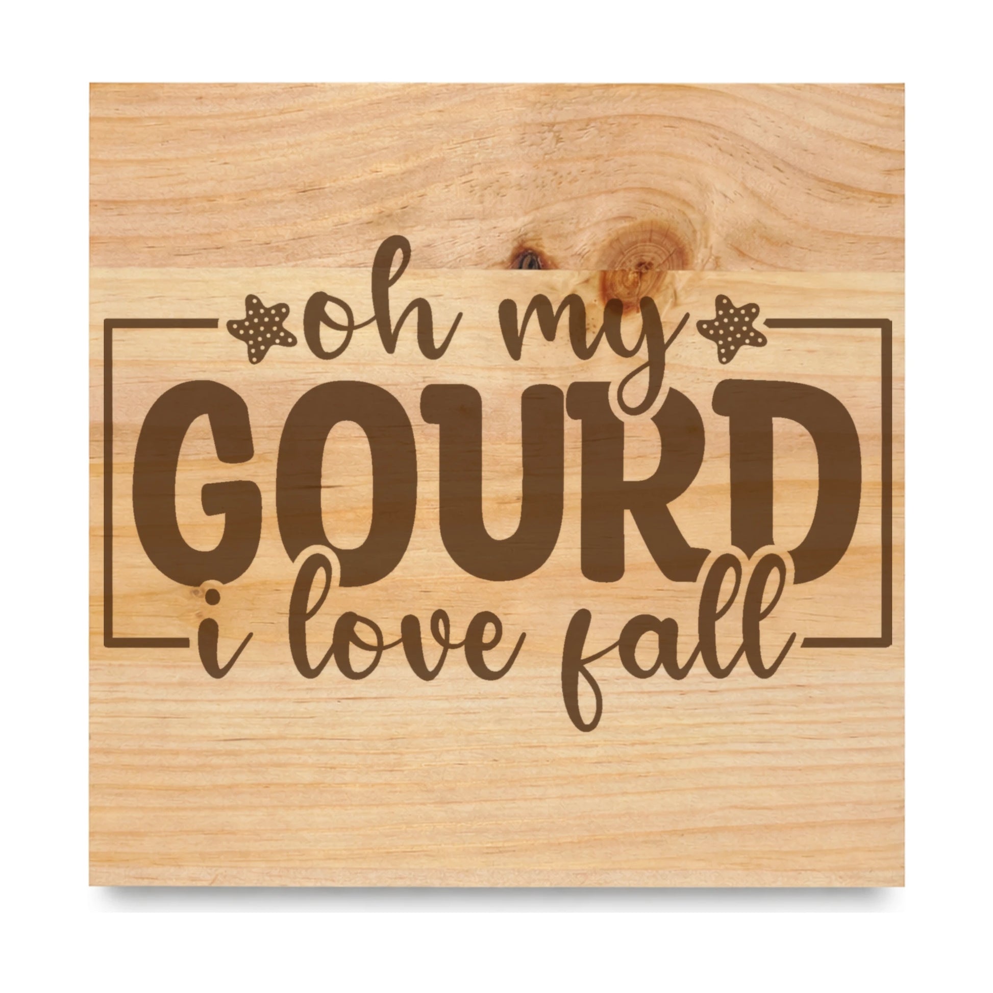 Oh My Gourd I Love Fall laser engraved pine sign